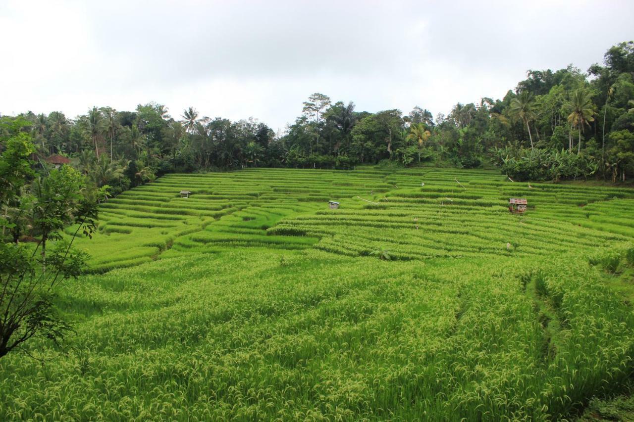 Saridevi Ecolodge Jatiluwih Exterior foto